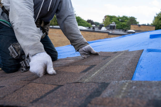 Best Roof Gutter Cleaning  in Preston, IA